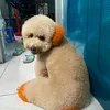 quynh301213