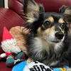 yurichin20180606