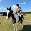 noviceadulthorserider