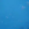 Rốt