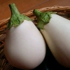 otanko_eggplant