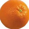 _yellow_tangerine_