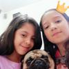 valepug1202