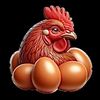 Kang Talua🥚