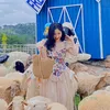 kimlan011