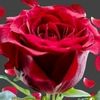 user041741667