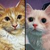 oyen_eye