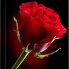 mona.azam68