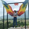 caokimnho