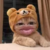 justchatmeeee