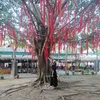 nguyenngan21