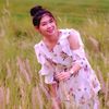 nidty2526