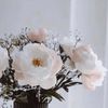 7anna_1997