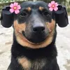 userc5g2uwm6ve