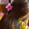 kentang_297