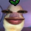 refiana__