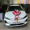 vandinhdang198
