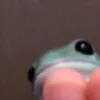 namefuckyou