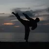 taekwondo_s.l.p