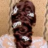 evariana.5