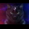 kazcat