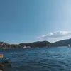 tietphamnef