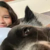 snshnclr