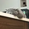 punaxink
