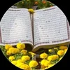 thmrty55