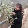 haiyen_993