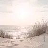 mamasunshine_