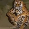 huantqg