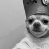 blinblinskei