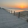 hassi_73