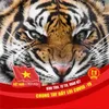 tien.dinh72