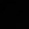 3qn0