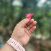 shreyashsabu1