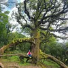 noitoc_thanhoai_hanoi
