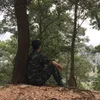 nguyendaiquyet