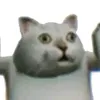 dungquentenanh32