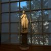 ascensionissm