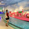 viettrinh229