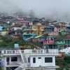 mytrip95