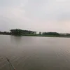 baomom.tv