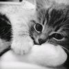 heyy_putttt