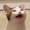 germanyguy0