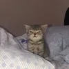kajicaaa__