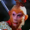 taydukydongtieng4
