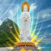 rongsuytinh
