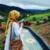 ama3081